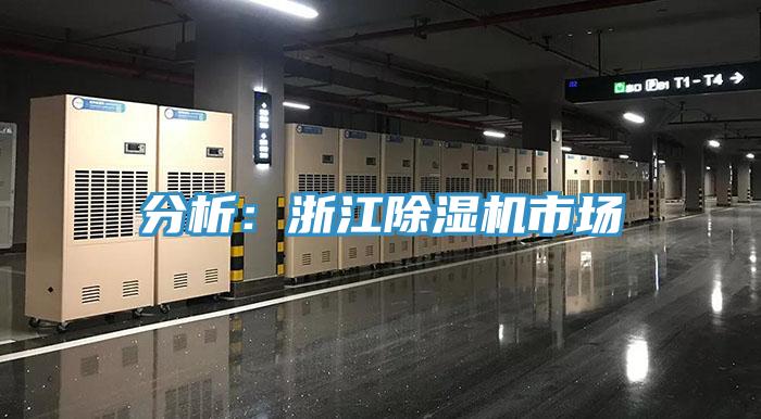 分析：浙江免费看操逼软件市场