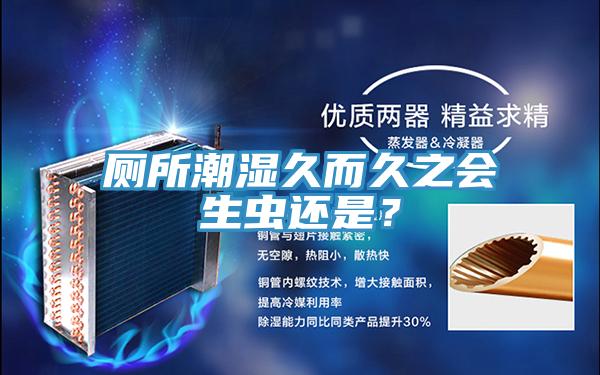 厕所潮湿久而久之会生虫还是？