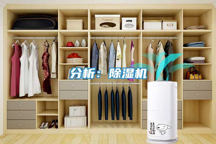 分析：免费看操逼软件