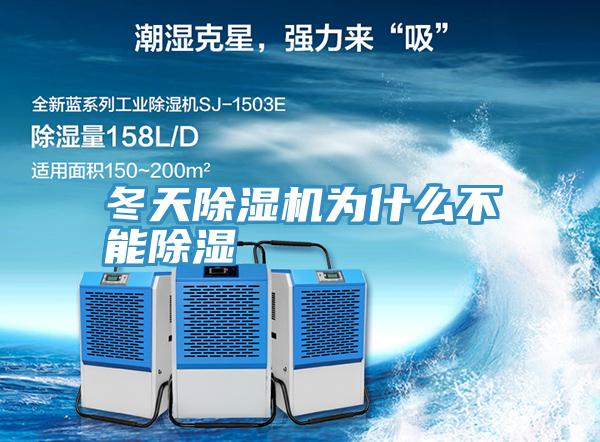 冬天免费看操逼软件为什么不能除湿