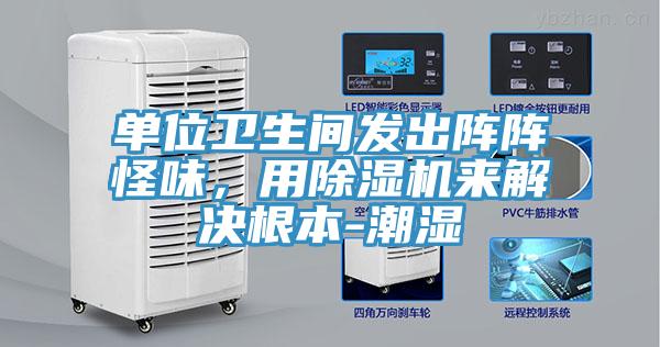 单位卫生间发出阵阵怪味，用免费看操逼软件来解决根本-潮湿