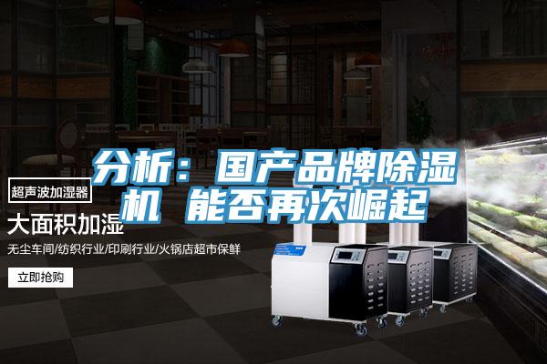 分析：国产品牌免费看操逼软件 能否再次崛起