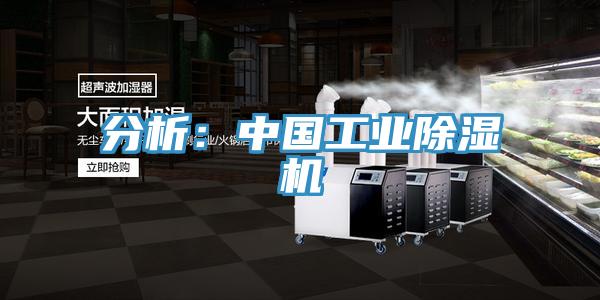 分析：中国工业免费看操逼软件