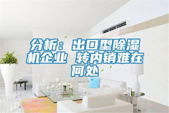 分析：出口型免费看操逼软件企业 转内销难在何处
