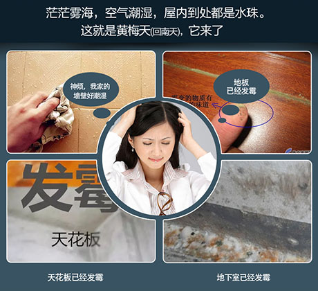 家庭别墅的地下室、卫生间、储物室等该如何除湿？