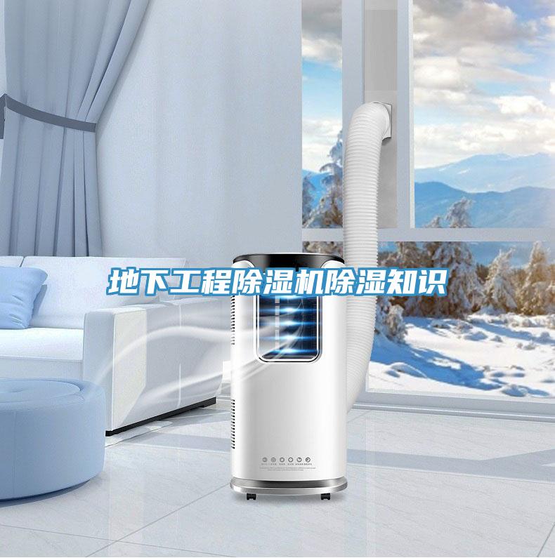 地下工程免费看操逼软件除湿知识