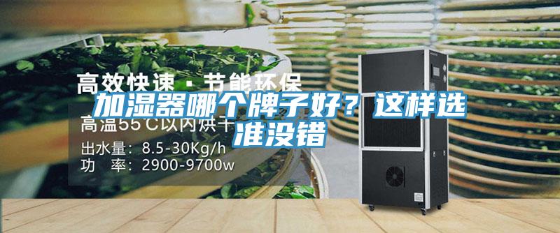 加湿器哪个牌子好？这样选准没错
