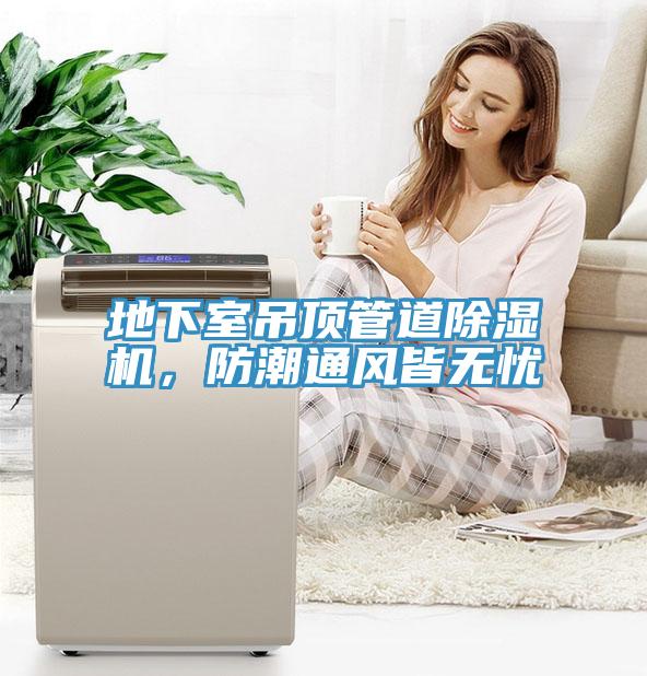 地下室吊顶管道免费看操逼软件，防潮通风皆无忧