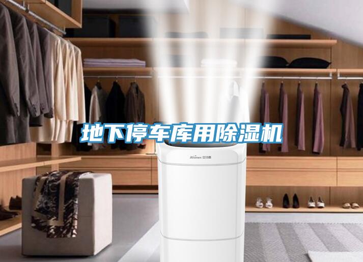 地下停车库用免费看操逼软件