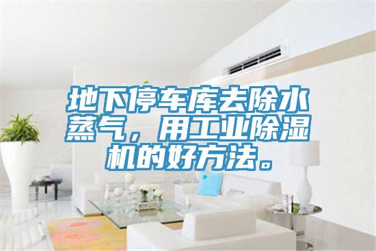 地下停车库去除水蒸气，用工业免费看操逼软件的好方法。