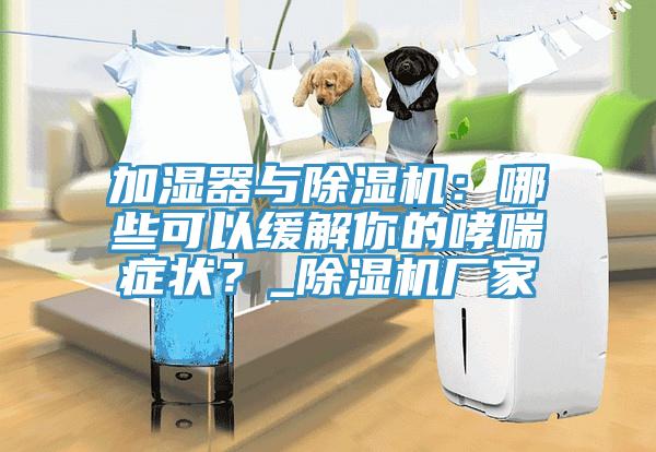 加湿器与免费看操逼软件：哪些可以缓解你的哮喘症状？_免费看操逼软件厂家