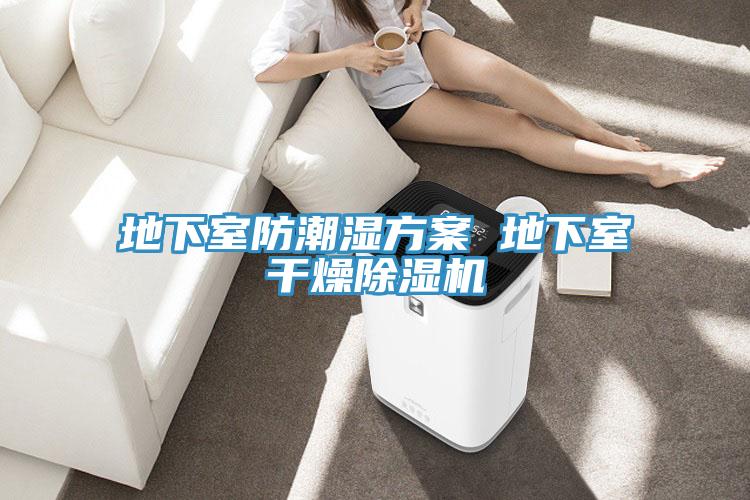 地下室防潮湿方案 地下室干燥免费看操逼软件