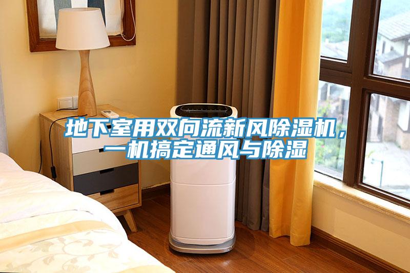 地下室用双向流新风免费看操逼软件，一机搞定通风与除湿