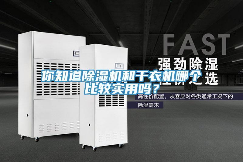 你知道免费看操逼软件和干衣机哪个比较实用吗？