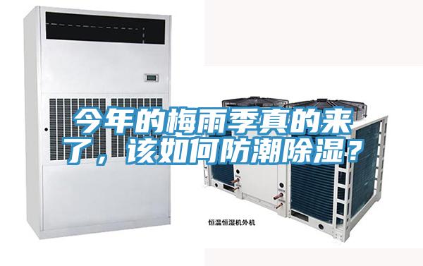今年的梅雨季真的来了，该如何防潮除湿？
