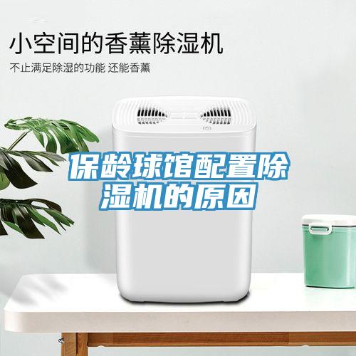 保龄球馆配置免费看操逼软件的原因