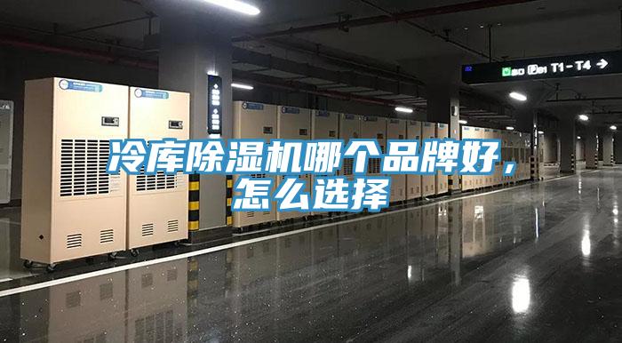 冷库免费看操逼软件哪个品牌好，怎么选择