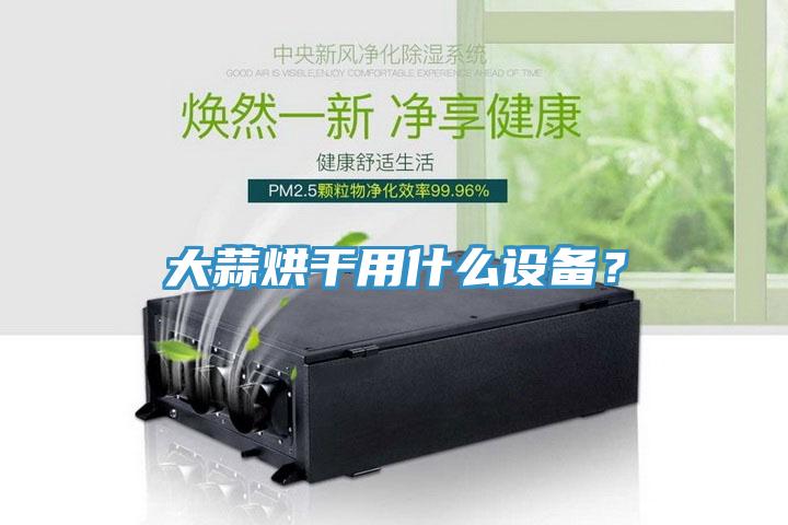 大蒜烘干用什么设备？