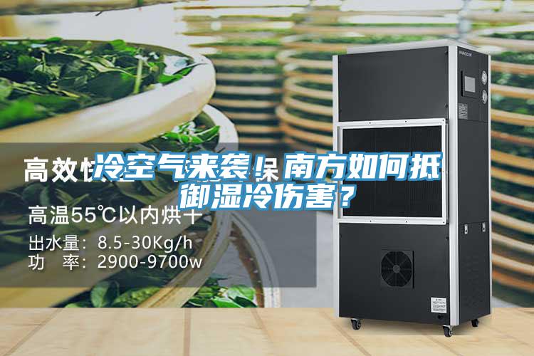 冷空气来袭！南方如何抵御湿冷伤害？