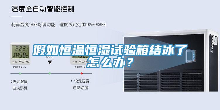 假如恒温恒湿试验箱结冰了怎么办？