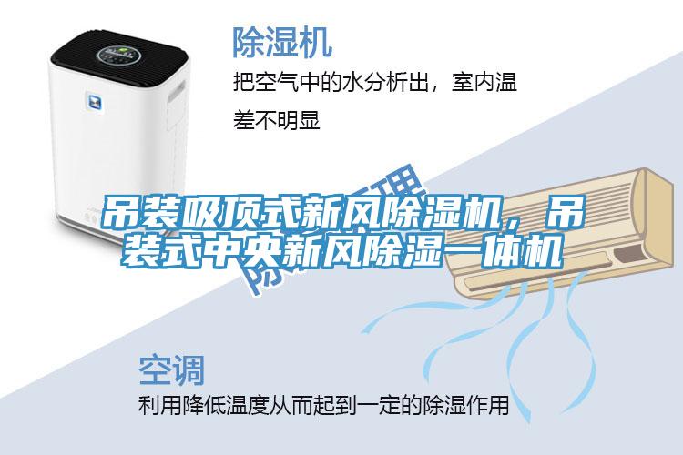 吊装吸顶式新风免费看操逼软件，吊装式中央新风除湿一体机