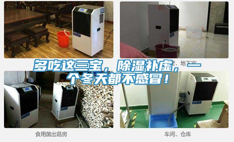 多吃这三宝，除湿补虚，一个冬天都不感冒！
