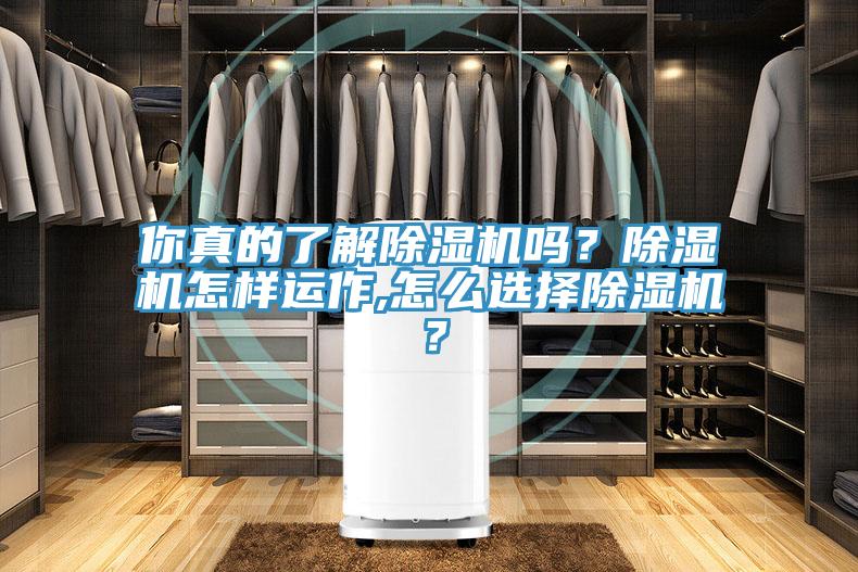 你真的了解免费看操逼软件吗？免费看操逼软件怎样运作,怎么选择免费看操逼软件？