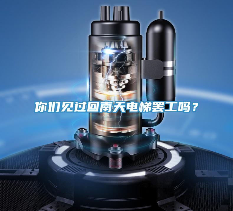 你们见过回南天电梯罢工吗？