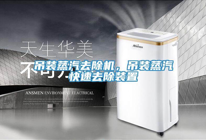 吊装蒸汽去除机，吊装蒸汽快速去除装置