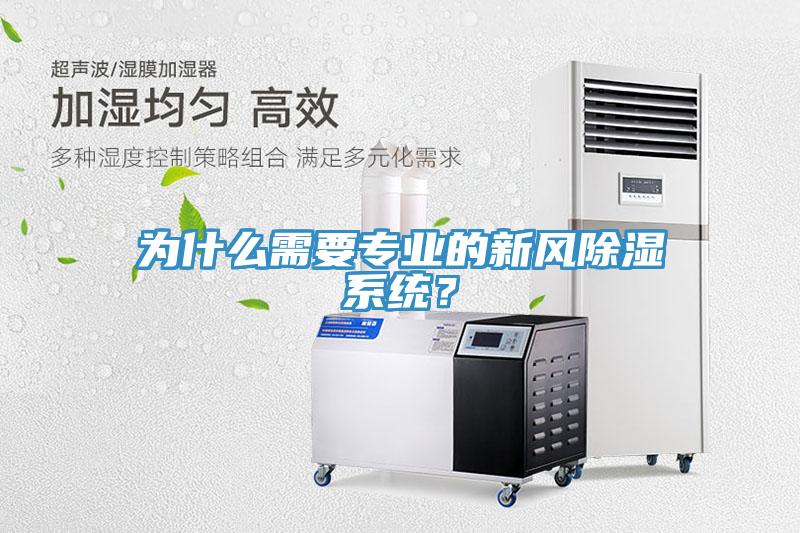 为什么需要专业的新风除湿系统？