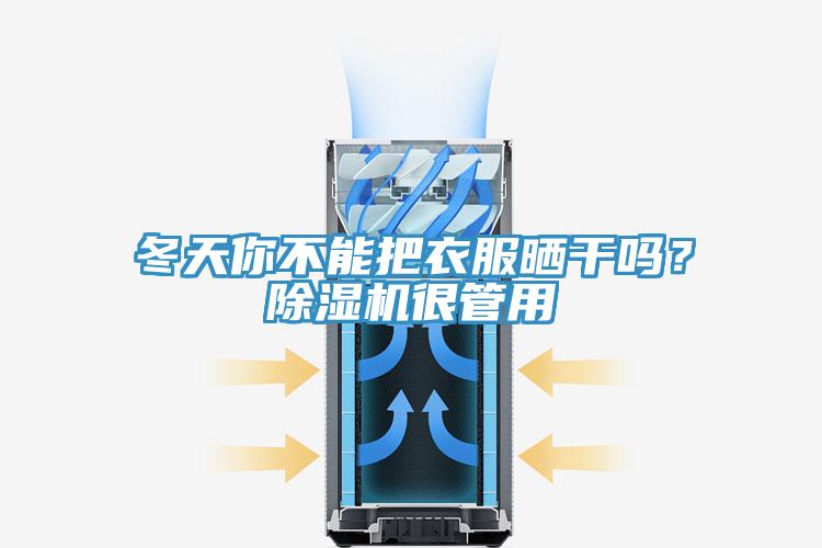 冬天你不能把衣服晒干吗？免费看操逼软件很管用