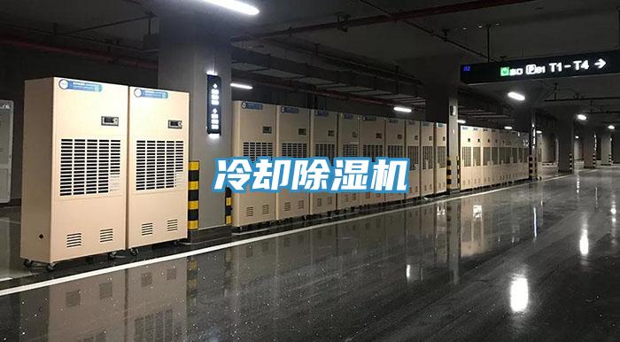冷却免费看操逼软件