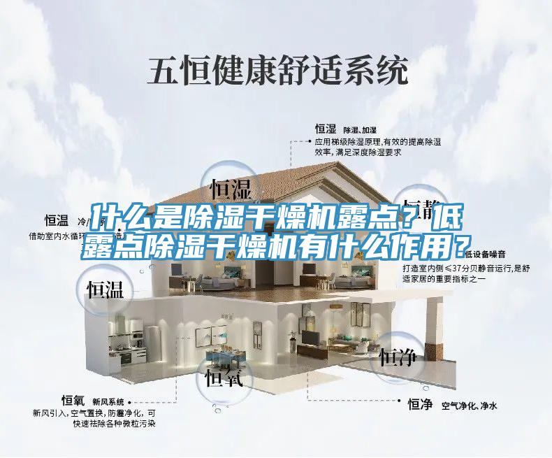 什么是除湿干燥机露点？低露点除湿干燥机有什么作用？