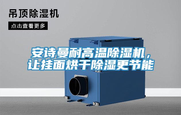 操逼视频软件下载耐高温免费看操逼软件，让挂面烘干除湿更节能