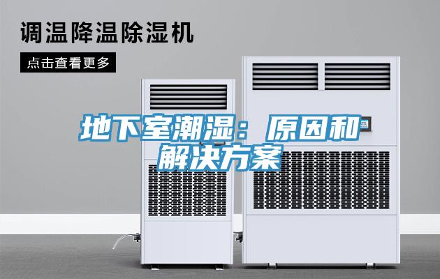 地下室潮湿：原因和解决方案