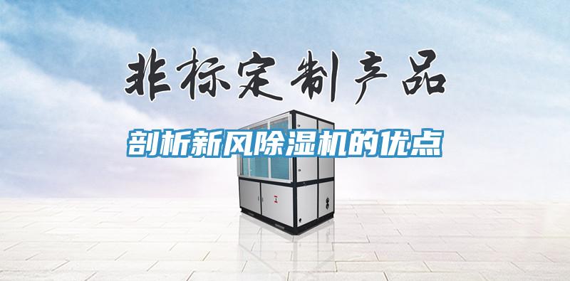 剖析新风免费看操逼软件的优点