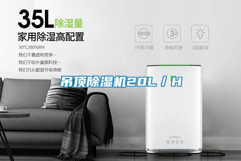 吊顶免费看操逼软件20L／H