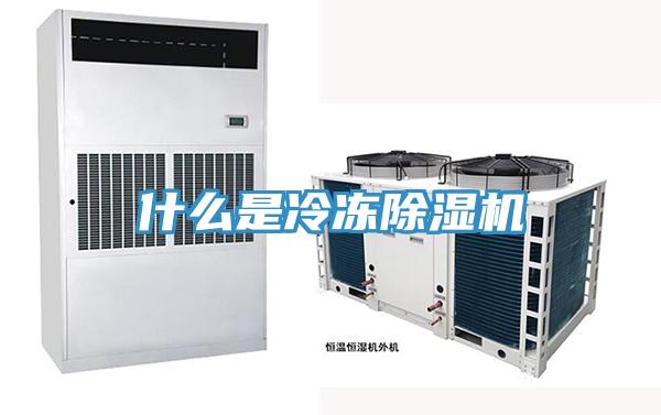 什么是冷冻免费看操逼软件