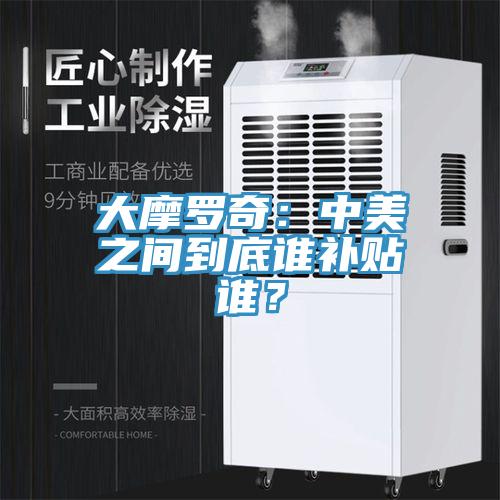 大摩罗奇：中美之间到底谁补贴谁？