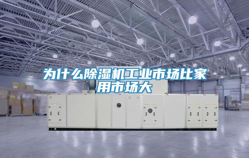 为什么免费看操逼软件工业市场比家用市场大