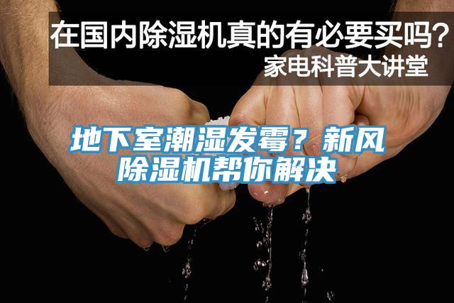 地下室潮湿发霉？新风免费看操逼软件帮你解决