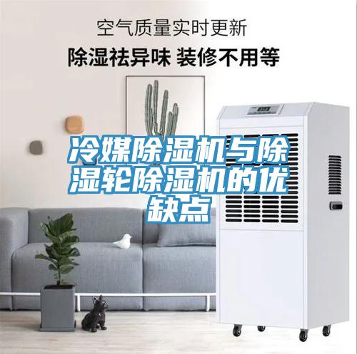 冷媒免费看操逼软件与除湿轮免费看操逼软件的优缺点