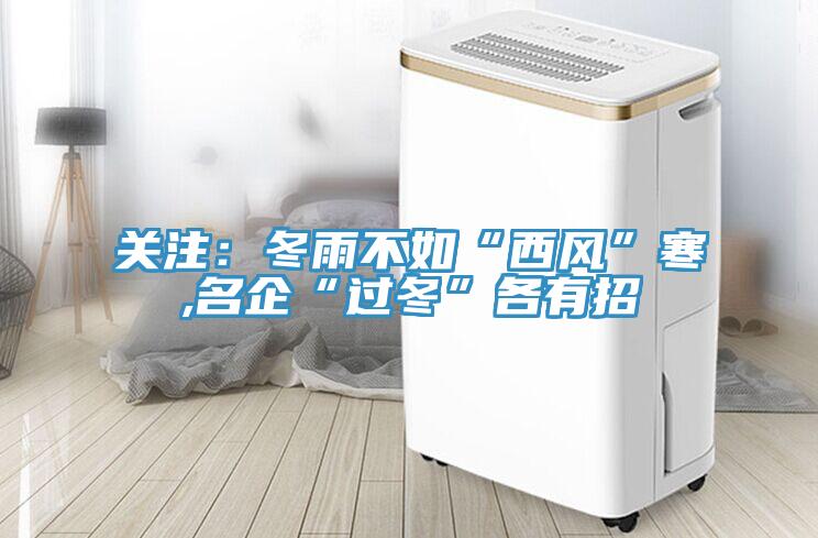 关注：冬雨不如“西风”寒,名企“过冬”各有招