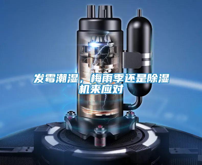 发霉潮湿，梅雨季还是免费看操逼软件来应对