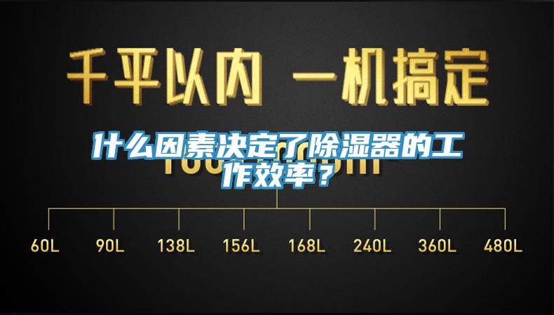 什么因素决定了除湿器的工作效率？