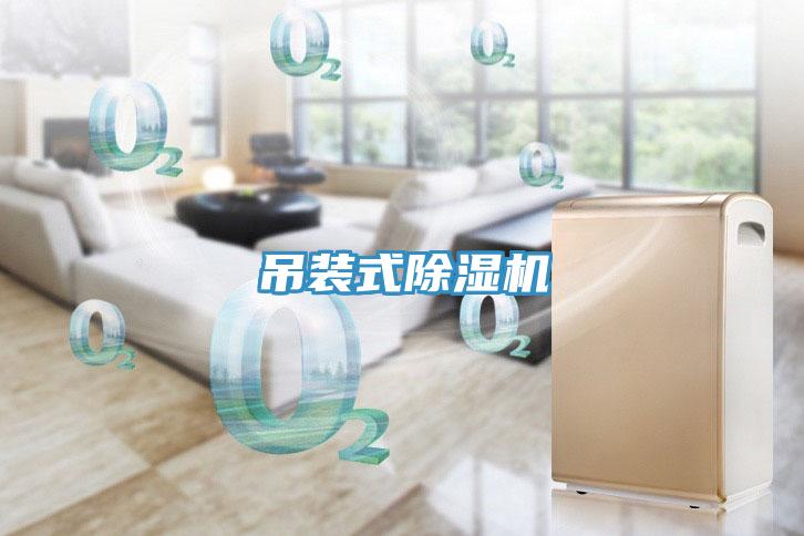 吊装式免费看操逼软件