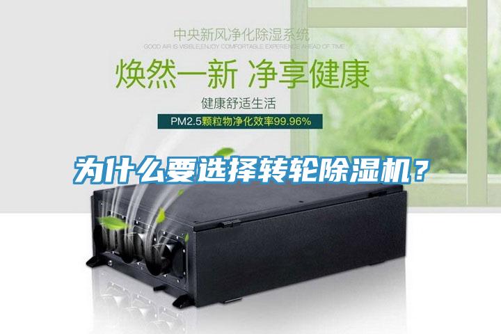 为什么要选择转轮免费看操逼软件？