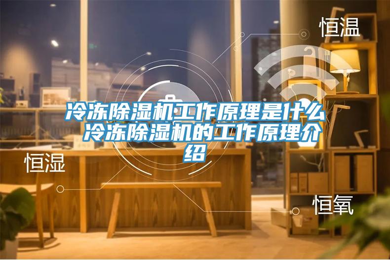 冷冻免费看操逼软件工作原理是什么 冷冻免费看操逼软件的工作原理介绍