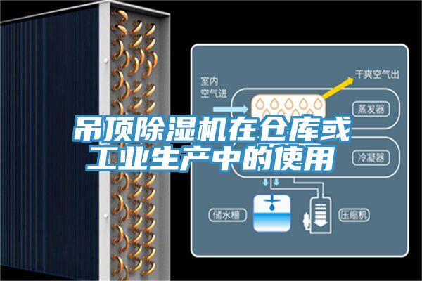 吊顶免费看操逼软件在仓库或工业生产中的使用