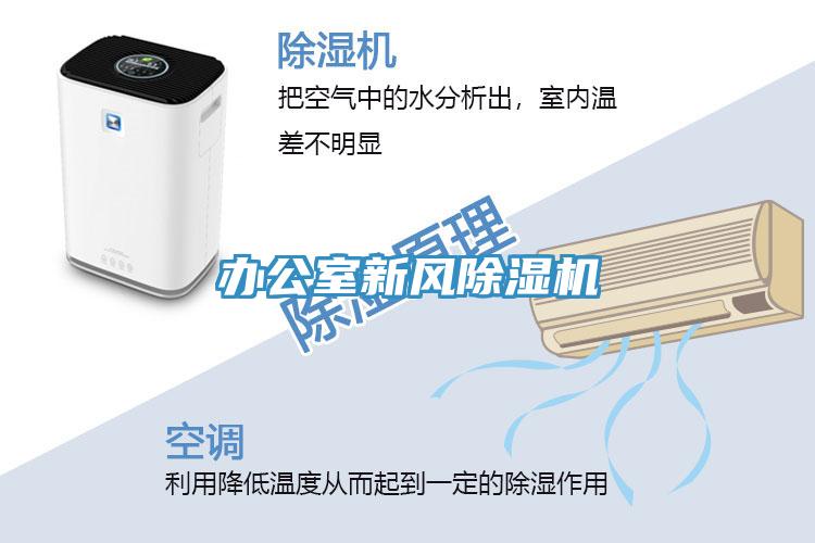 办公室新风免费看操逼软件